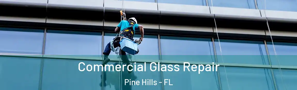 Commercial Glass Repair Pine Hills - FL