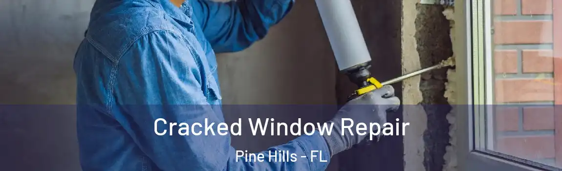  Cracked Window Repair Pine Hills - FL