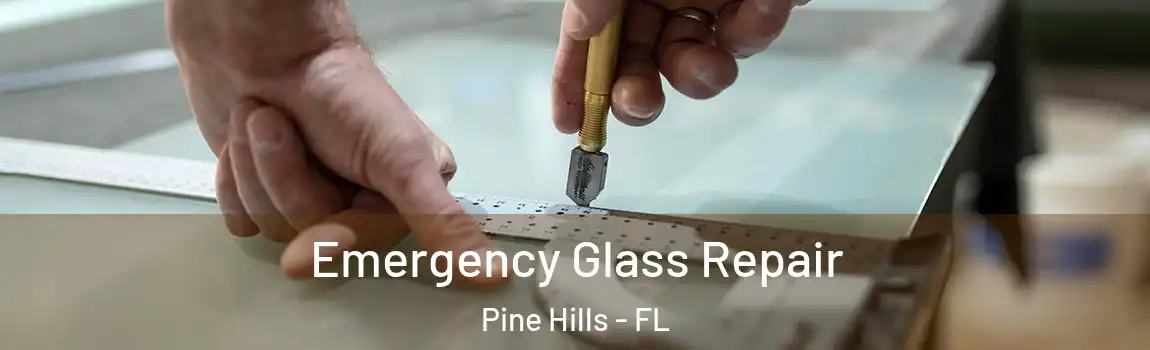  Emergency Glass Repair Pine Hills - FL