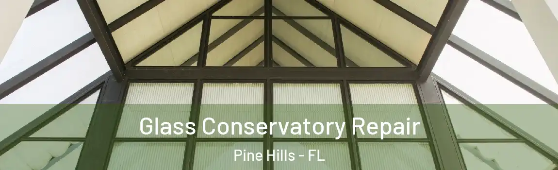  Glass Conservatory Repair Pine Hills - FL