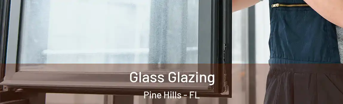  Glass Glazing Pine Hills - FL