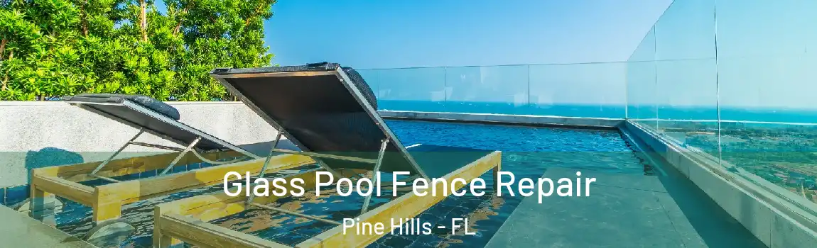  Glass Pool Fence Repair Pine Hills - FL