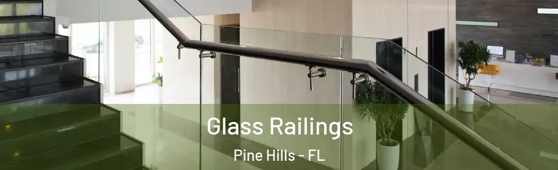  Glass Railings Pine Hills - FL