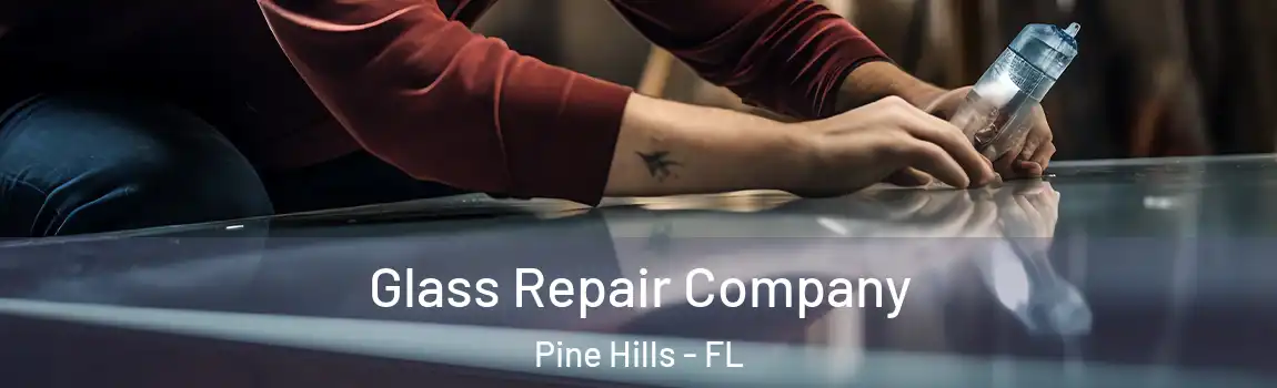 Glass Repair Company Pine Hills - FL