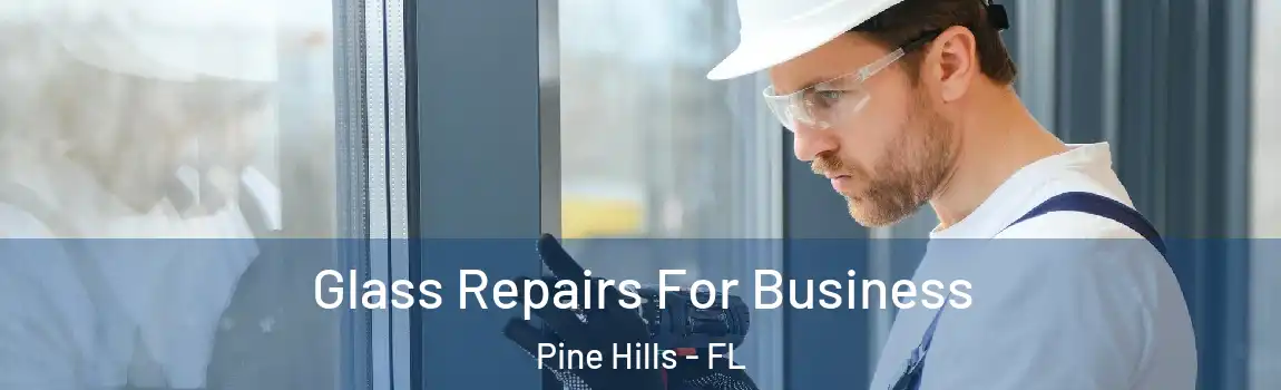  Glass Repairs For Business Pine Hills - FL