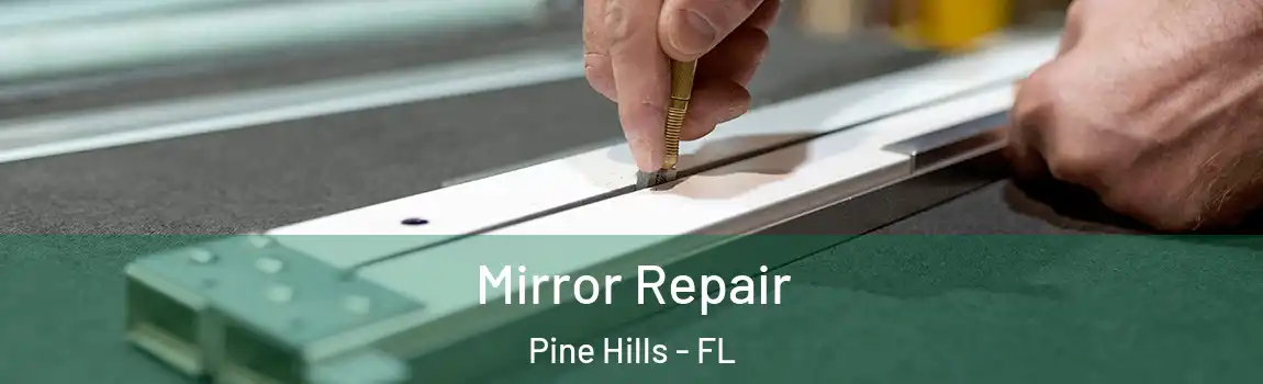  Mirror Repair Pine Hills - FL