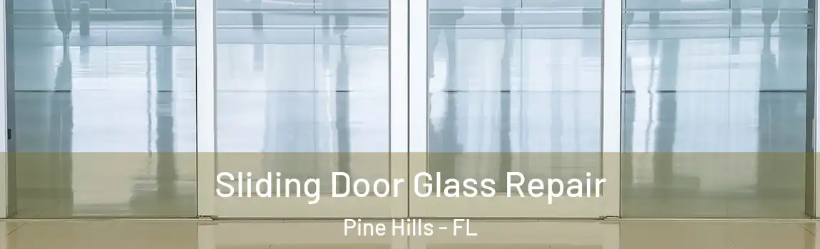  Sliding Door Glass Repair Pine Hills - FL