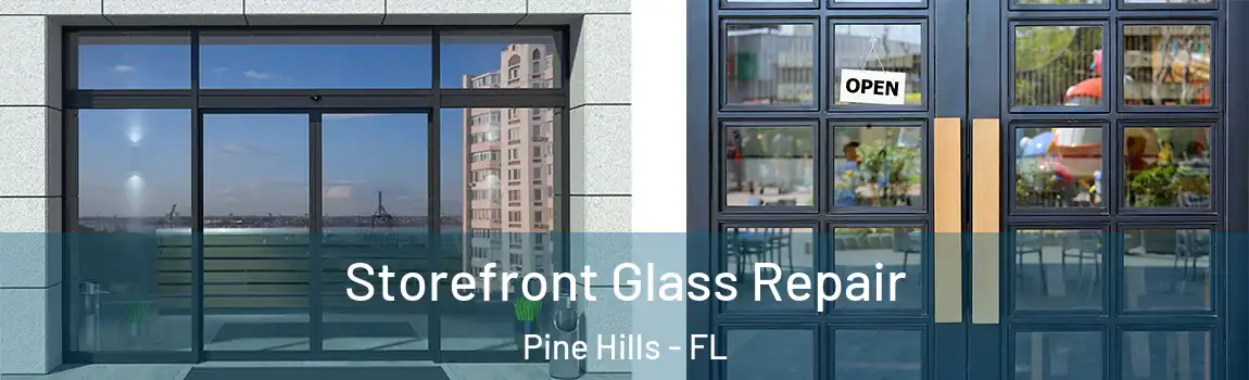  Storefront Glass Repair Pine Hills - FL