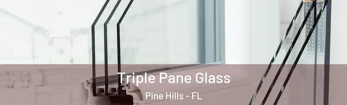  Triple Pane Glass Pine Hills - FL