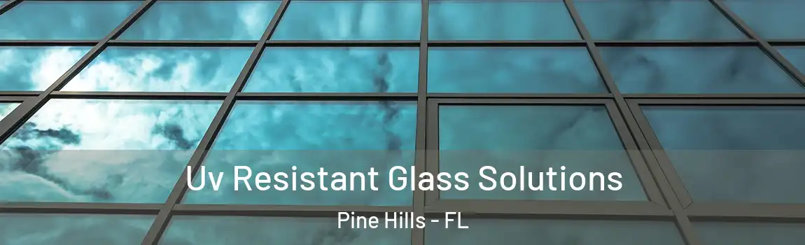  Uv Resistant Glass Solutions Pine Hills - FL