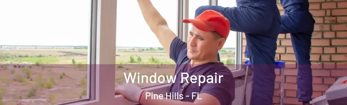 Window Repair Pine Hills - FL