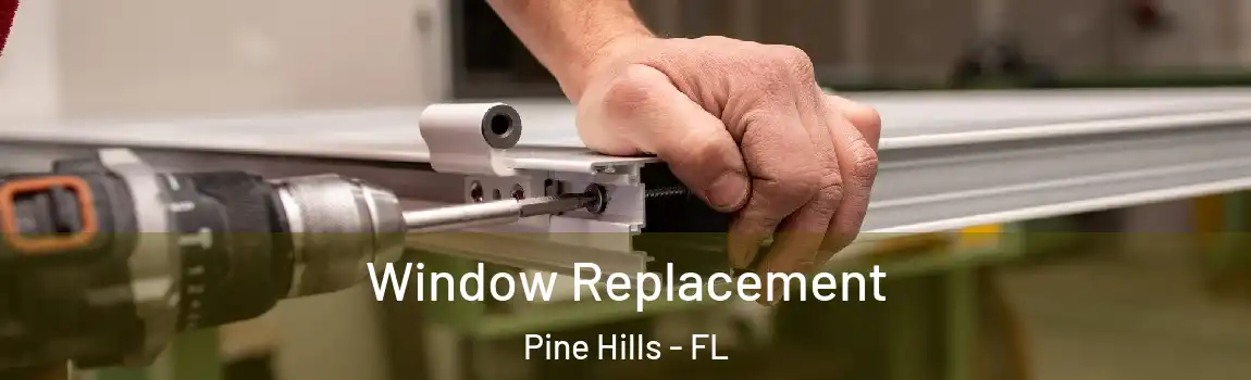  Window Replacement Pine Hills - FL