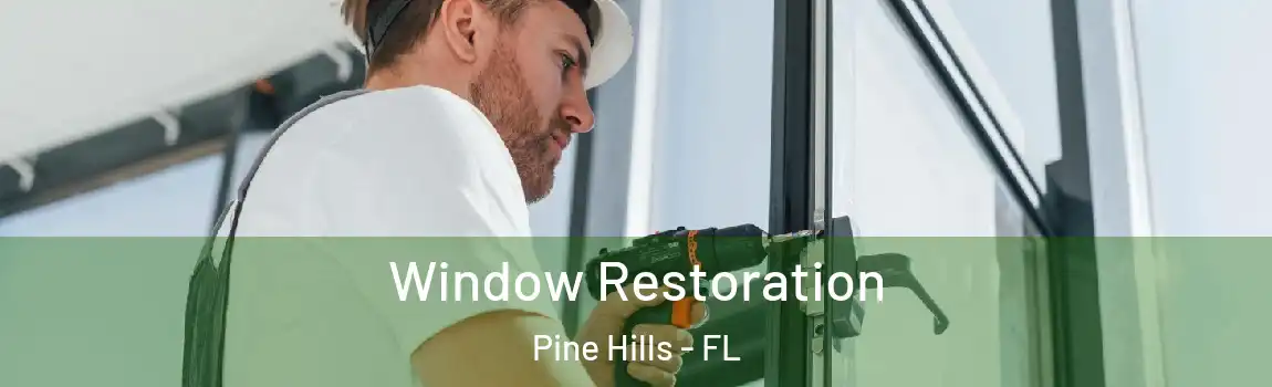  Window Restoration Pine Hills - FL